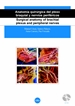 Front pageAnatomía quirúrgica del plexo braquial y nervios periféricos/Surgical anatomy of brachial plexus and peripheral nerves (DVD+ llibret explicatiu)