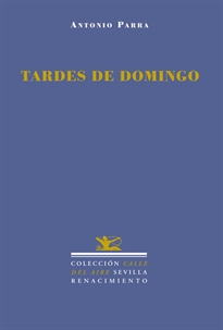 Books Frontpage Tardes de Domingo