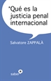 Front pageQué es la justicia penal internacional