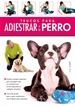 Front pageTrucos para Adiestrar a tu Perro