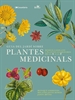 Front pageGuia del jardí sobre plantes medicinals