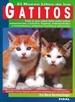 Front pageGatitos
