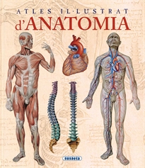 Books Frontpage Atles il-lustrat d'anatomia