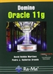 Front pageDomine Oracle 11g