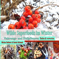 Books Frontpage Wilde Superfoods im Winter