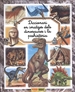 Front pageDiccionari En Imatges Dels Dinosaures I La Prehistòria