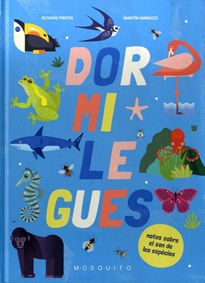 Books Frontpage Dormilegues