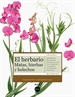 Front pageEl herbario: matas, hierbas y helechos