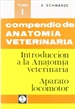 Front pageCompendio de anatomía veterinaria