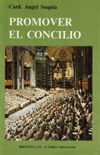 Books Frontpage Promover el Concilio. Carta pastoral sobre le Sínodo extrarodinario de 1985 en el primer centenario de la diócesis de Madrid-Alcalá