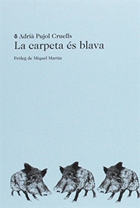 Books Frontpage La carpeta és blava