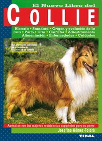 Books Frontpage Collie