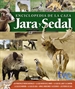 Front pageEnciclopedia de la caza. Jara y sedal