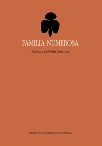 Books Frontpage Familia numerosa