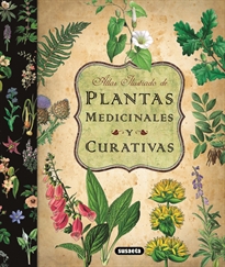Books Frontpage Plantas medicinales y curativas