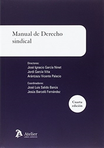 Books Frontpage Manual de derecho sindical