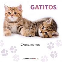 Books Frontpage Calendario Gatitos 2017