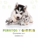 Front pageCalendario Perritos y gatitos 2017