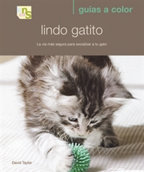 Books Frontpage Lindo gatito