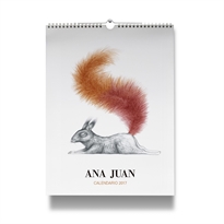 Books Frontpage Calendario Ana Juan 2017