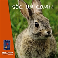 Books Frontpage Soc un conill