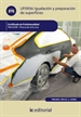 Front pageIgualación y preparación de superficies. tmvl0509 - pintura de vehículos