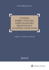 Books Frontpage Litigios sobre consumo: especialidades procesales y acciones colectivas