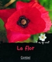 Front pageLa flor