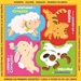 Front pagePuzzlebooks in Box Animales