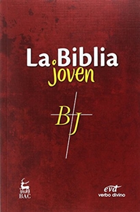 Books Frontpage La Biblia joven