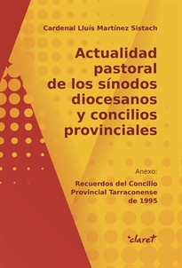 Books Frontpage Actualidad pastoral de los sínodos diocesanos y concilios provinciales