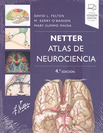 Books Frontpage Netter. Atlas de neurociencia (4ª ed.)