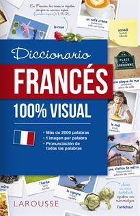 Books Frontpage Diccionario de francés 100% Visual