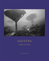 Books Frontpage Socotra