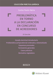 Books Frontpage Problemática en torno a la declaración en concurso de acreedores (2.ª Edición)