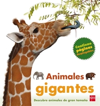 Books Frontpage Animales gigantes
