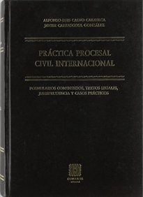 Books Frontpage Práctica procesal civil internacional