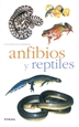 Front pageAnfibios y reptiles