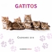 Front pageCalendario Gatitos 2018