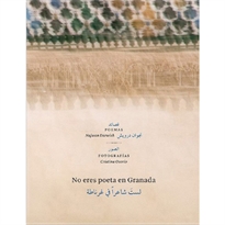 Books Frontpage No eres poeta en Granada