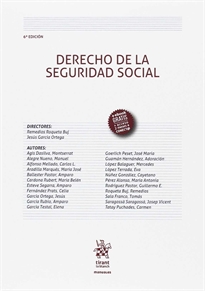 Books Frontpage Derecho de la Seguridad Social 6ª Edición 2017