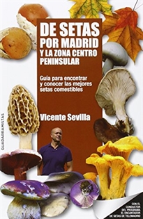 Books Frontpage De Setas Por Madrid Y La Zona Centro Peninsular