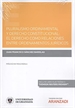 Front pagePluralismo ordinamental y derecho constitucional: El derecho como relaciones entre ordenamientos jurídicos (Papel + e-book)