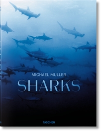 Books Frontpage Michael Muller. Sharks