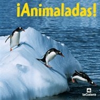 Books Frontpage ¡Animaladas!