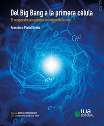 Books Frontpage Del Big Bang a la primera célula