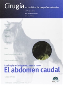Books Frontpage Cirugía en la clínica de pequeños animales. El abdomen caudal