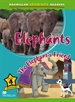 Front pageMCHR 4 Elephants