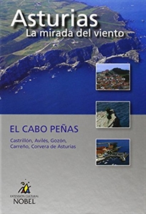 Books Frontpage LIBRO-DVD3:ASTURIAS LA MIRADA DEL VIENTO El Cabo P