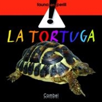 Books Frontpage La tortuga